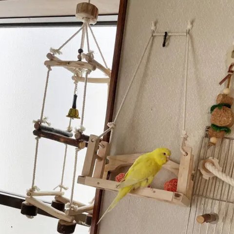 ⌘ 🐤壁吊るし止まり木・ベンチ＆3階建てジャングルジム🐦⌘