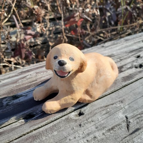 苺のゴールデンレトリバーちゃん