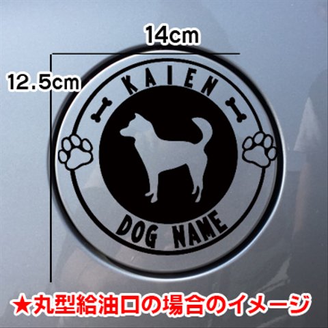 甲斐犬 かいけん KAIKEN　犬 テッカーリアガラス 車