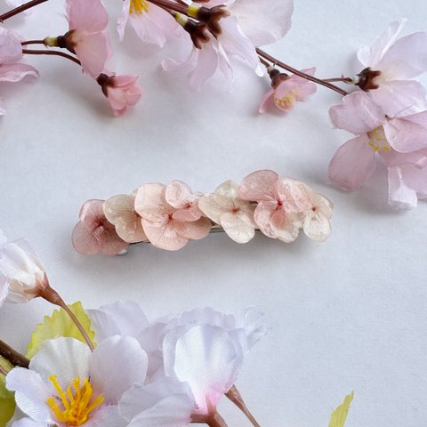 桜色🌸な本物の紫陽花 が咲く バレッタ 髪飾り ˚⊹ ⁺‧