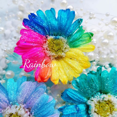 1輪販売♡♡レインボーガーベラ⸜❤︎⸝‍ 花材  プリザーブドフラワー アレンジメント