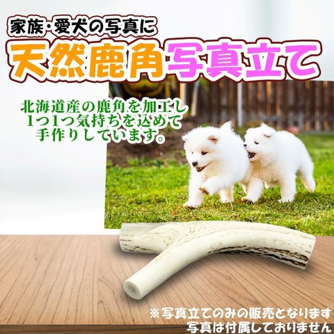 【愛犬家必見】鹿の角　写真立て(フォトスタンド)M　鹿角 フォトフレーム　犬用品