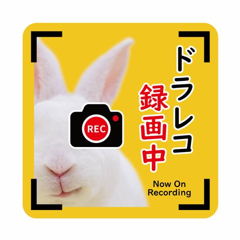 うさぎデザイン　ドラレコ録画中（ドライブレコーダー録画中） マグネットシート