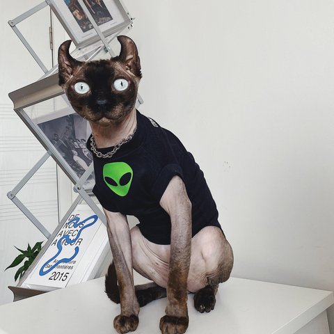 猫服 ペット服 ネコ 猫宇宙人Tシャツ 格好いい 綿Tシャツ 春 夏 エイリアンシャツ スフィンクス 保温 猫ウェア 