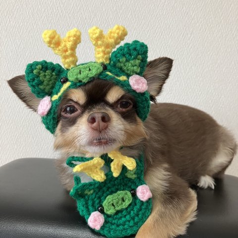 犬用＆猫用 緑色龍帽子🐲干支帽子 正月 辰帽子
