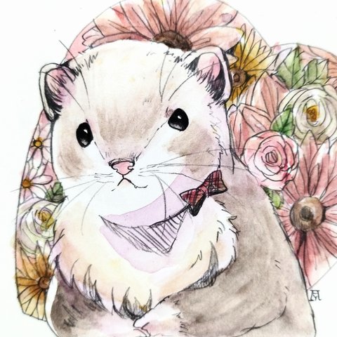 フェレット　透明水彩イラスト原画