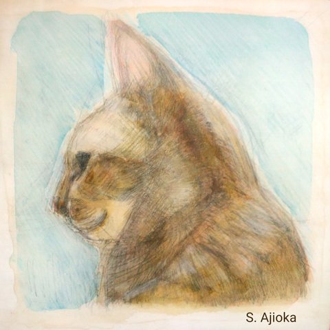 Profile of Tabby Cat, rough sketch  素描、横顔の虎猫　真作　アクリル、色鉛筆絵画