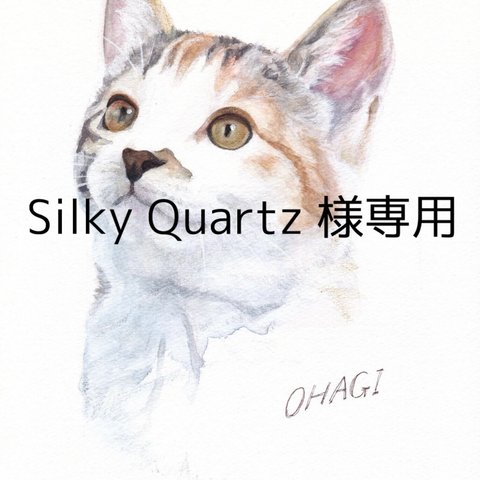 【オーダー】ペットの肖像画　カラー　Silky Quartz 様専用ページ