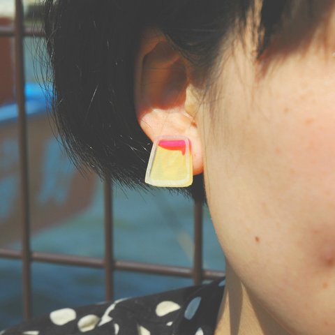 カクシカデカルトDAIKEIearring イヤリング