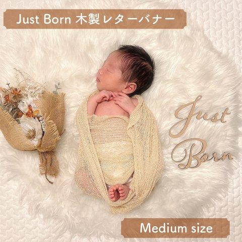 【木製 レターバナー】Just Born ( Mサイズ ) ニューボーンフォト