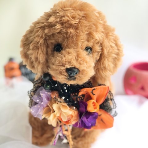 犬お花チョーカー≪ハロウィンオレンジリボン≫　写真撮影　トリミング　首飾り　犬猫アクセサリー　ヘッドアクセ　うちの子　