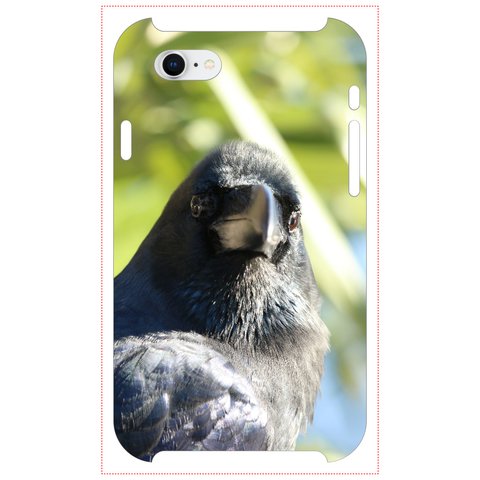 主張が激しいカラスのiPhoneケース