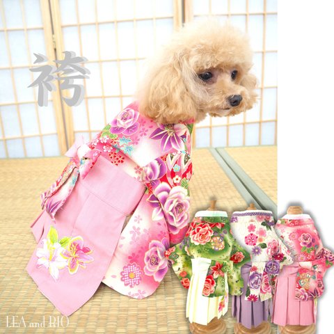 ♡新作♡ 袴 和服 和装 和柄 極小犬 超小型犬 パピー 小型犬 犬 猫 ペット 犬の服 猫の服 犬服 猫服 七五三 初詣 成人式 結婚式 お花見 卒業式 入学式 花柄 P729 P730 P731