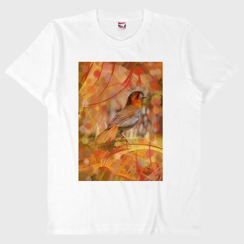 野鳥Tシャツその１２　コマドリその１