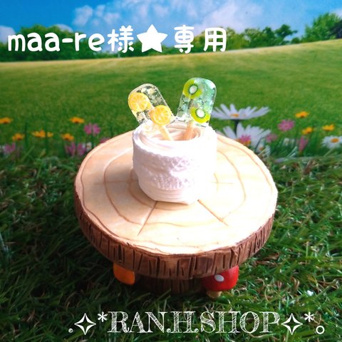 maa-re様　専用(*´˘`*)ミニチュア