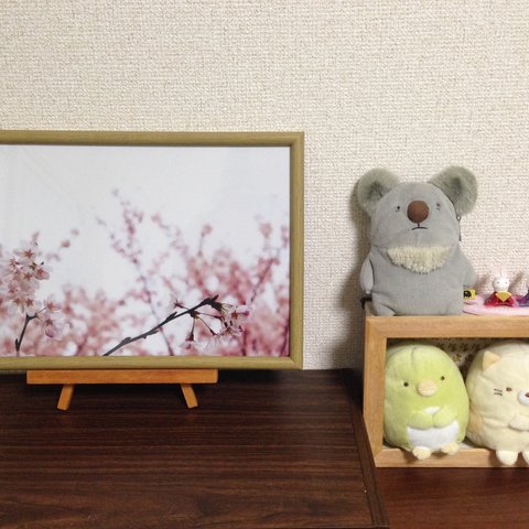「桜のドレミ」 A4写真
