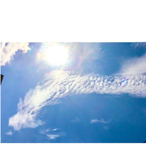 龍雲の写真