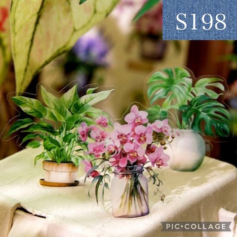 S198★diverse plants★PET素材シール6種類セット