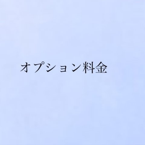 仕様変更のための追加料金 1500円