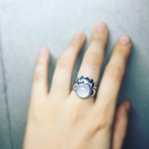 stegosaurus ring