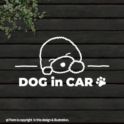 DOG IN CAR/ビション【カッティングステッカー】手書きわんこ