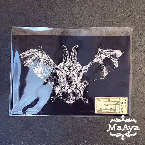 (送料無料)ウサギコウモリの博物画（黒）ポストカード（手描きイラスト）【MA-215】※額なし・ポストカード単体