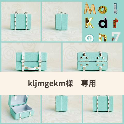 【kljmgekm様 専用】壁紙のミニチュアのトランク