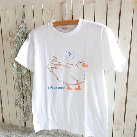 コールダックさんのTシャツ   (オチリ)