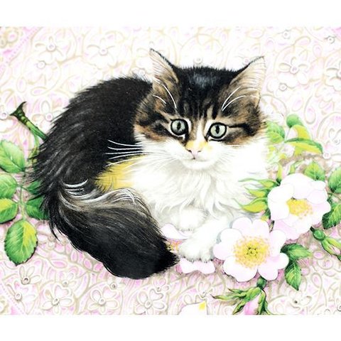 エインズレイ キャットプレート 6月 Aynsley Meet My Kittens  Agneatha  レズリーアンアイボリー  猫プレート ネコ コレクション