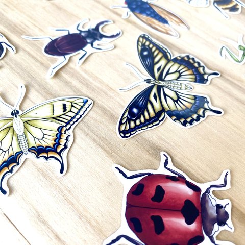 Insect Sticker Set (11 piece) - 虫のシールセット(11枚）