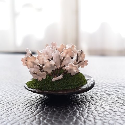 盆栽🌸桜の景色🌸