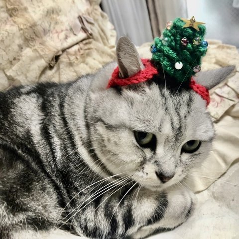 ニャンとも♡クリスマスツリー帽子（猫ちゃん用）