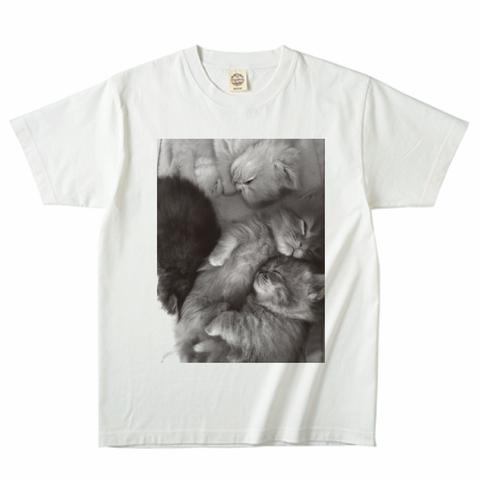 猫画像Tシャツ_001_g（モノクロ）