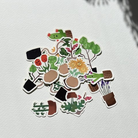 植物フレークシール