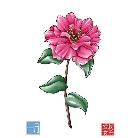 Camellia art, postcard size. January's Flower - 椿のアートはがき、１月の花