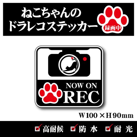 【猫ちゃんのドラレコステッカー】ドライブレコーダーステッカー／防犯カメラステッカー