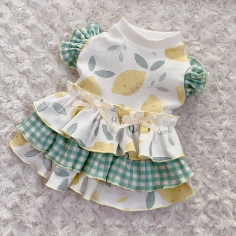 犬服🐶🐾レモン🍋3段フリルワンピース👗💞