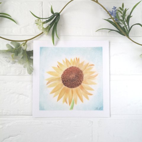 Sunflower　パステル画