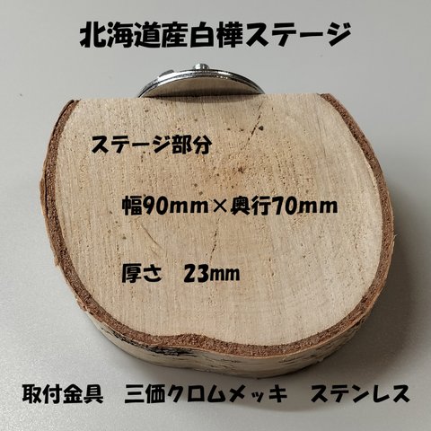 白樺ステージ　２０　（ステージ90×70ｍｍ　厚さ23ｍｍ）