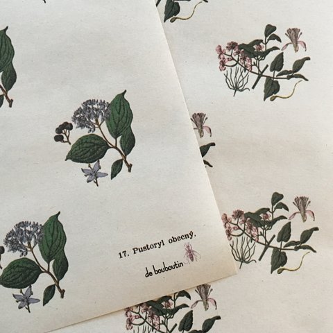 hungary botanicalflower　wrappingpaper　8Set　（№10 et №17） 