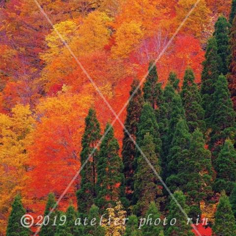 B-21岐阜県　徳山ダム湖・10