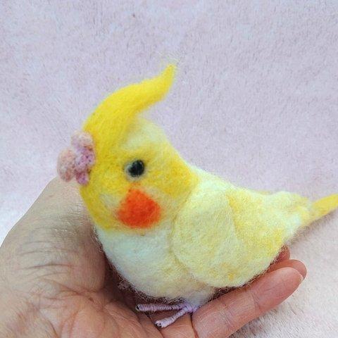 オカメインコちゃん♪