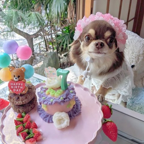 桜の花冠 横長タイプ  淡いピンク ♡ 桜 ヘッドドレス 花冠 犬 猫 ペット カチューシャ ピンク リボン 花 冠 誕生日 うちの子記念日 記念日 かぶりもの 被り物 帽子 バースデー ひな祭り