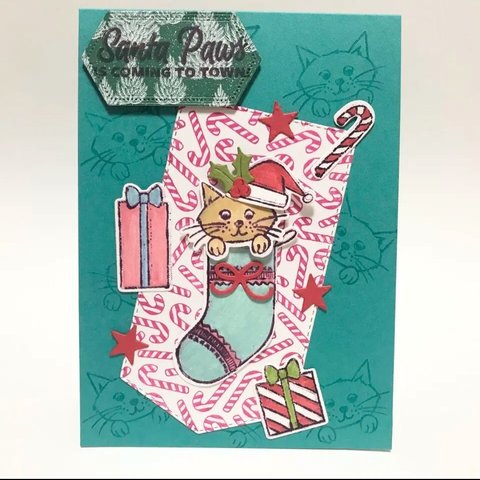 再販★クリスマスカード 「SWEET LITTLE STOCKINGS」 プレゼント 動物 クリスマス  キャンディケーン 星 くつした ネコ stampinup  スタンピンアップ 