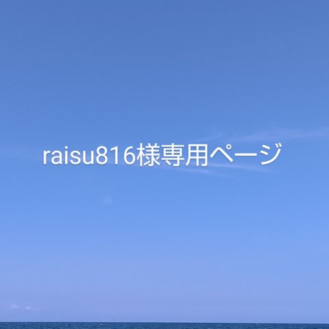 【raisu816様専用ページ】送料込み タオルセット    