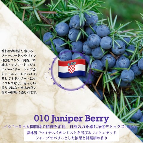 010：ジュニパーベリー /Juniper Berry　(試香用サンプル配布)　＊香り詳細と商品紹介＊
