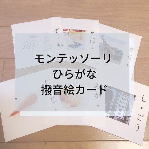 ☆モンテッソーリ☆撥音絵カード　