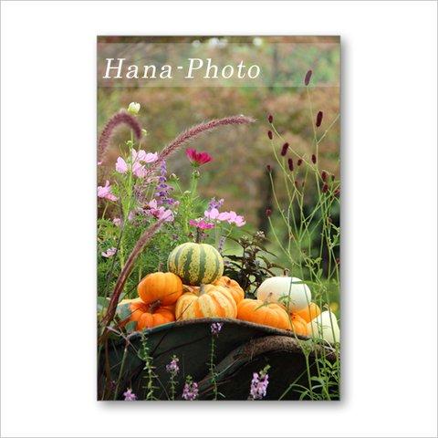 1560) 美しい秋の風景     ポストカード5枚組