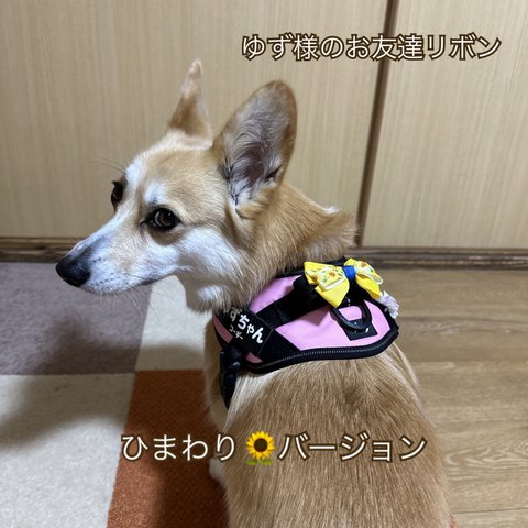 【送料込】 ひまわり　犬用リボン　トリミングリボン　ハーネスリボン　ユリウスリボン　ゆず様のおともだちリボン