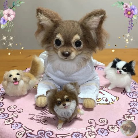 たんぽぽの綿毛⚪️🌱オーダーメイド　羊毛フェルト　犬　オーダー　ダックス　チワワ  シーズー　柴犬　ビーグル　ポメラニアン　フレンチブルドック　トイプードル　コーギー